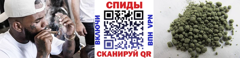 гидра   Минеральные Воды  Бутират BDO 