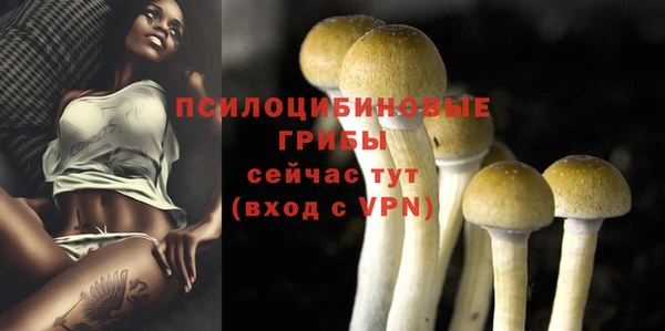 хмурый Белоозёрский