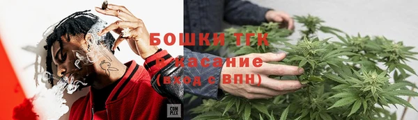 spice Богданович