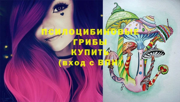 твердый Белокуриха